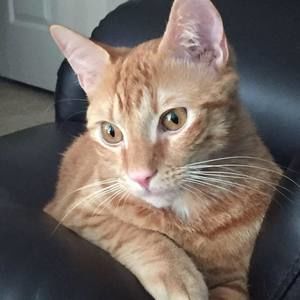 Meet your Posher, Birgit